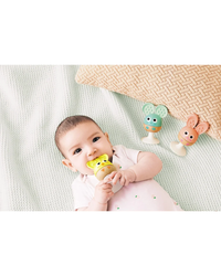 hape-cheery-critter-rattle