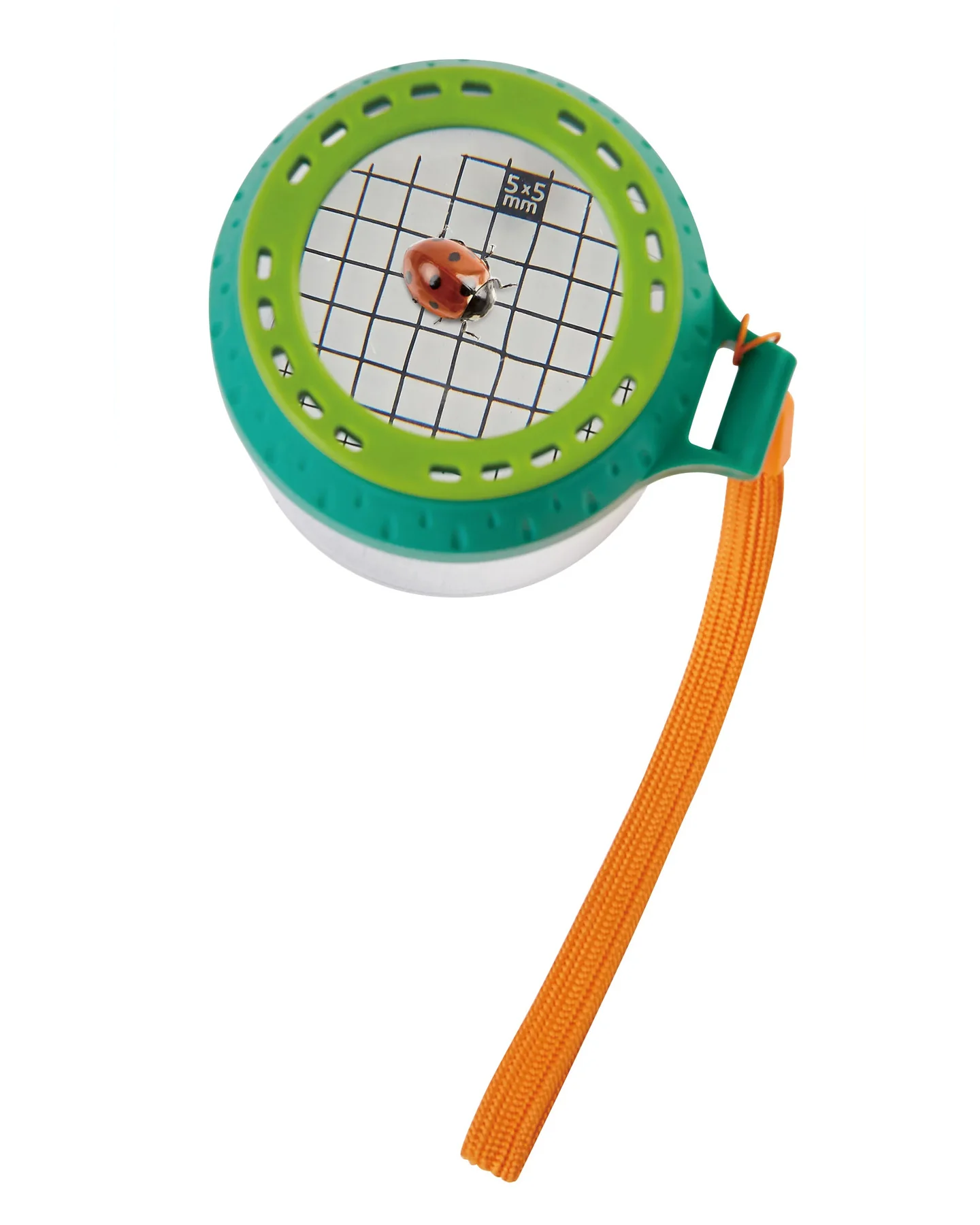 hape-explorers-bug-jar