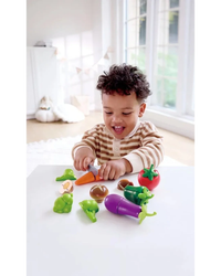 hape-garden-vegetables