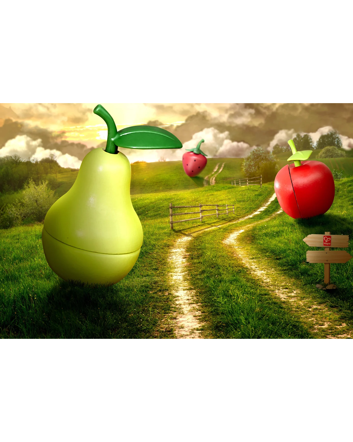 hape-healthy-fruit-playset