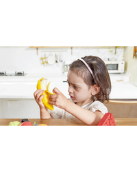 hape-healthy-fruit-playset