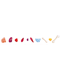 hape-50pc-human-body-puzzle