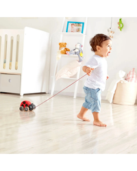 hape-lady-bug-pull-along