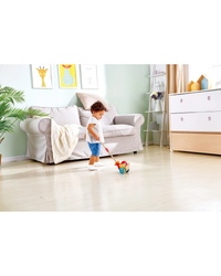 hape-lilly-musical-push-along-pepe-and-friends