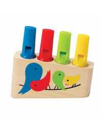 Hape Rainbow Pan Pipe Wind Instruments