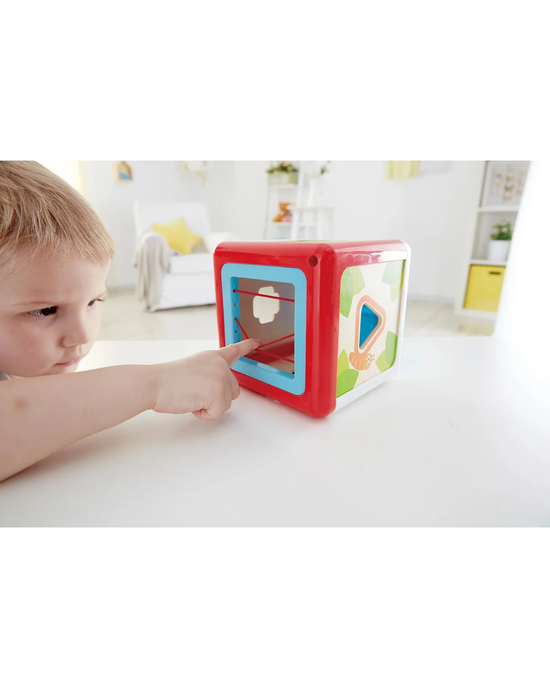 Hape Shape Sorting Box