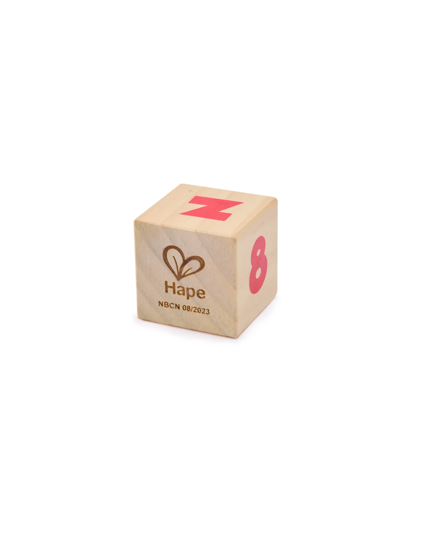 hape-smart-start-blocks-10pc