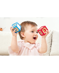 hape-smart-start-blocks-10pc