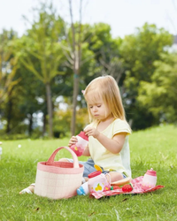 hape-toddler-picnic-basket