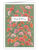 happy-birthday-poppies