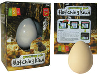 Hatch & Grow Kiwi Novelty Toy