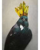 He of the Kowhai