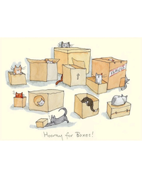 hooray-for-boxes