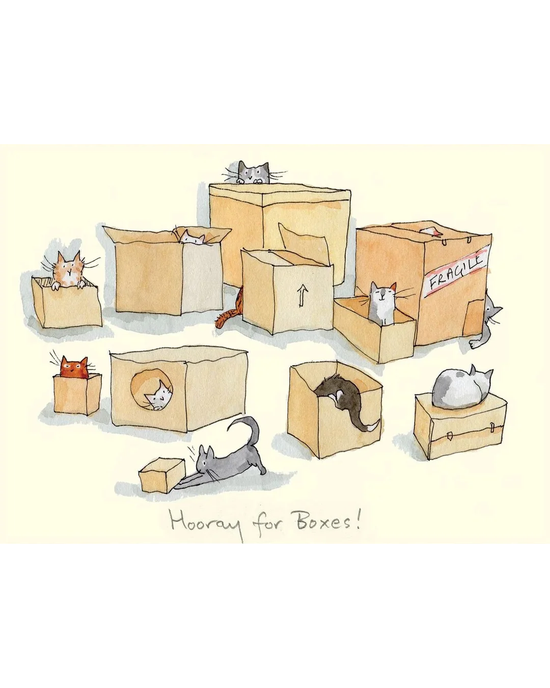 Hooray For Boxes ! - Card