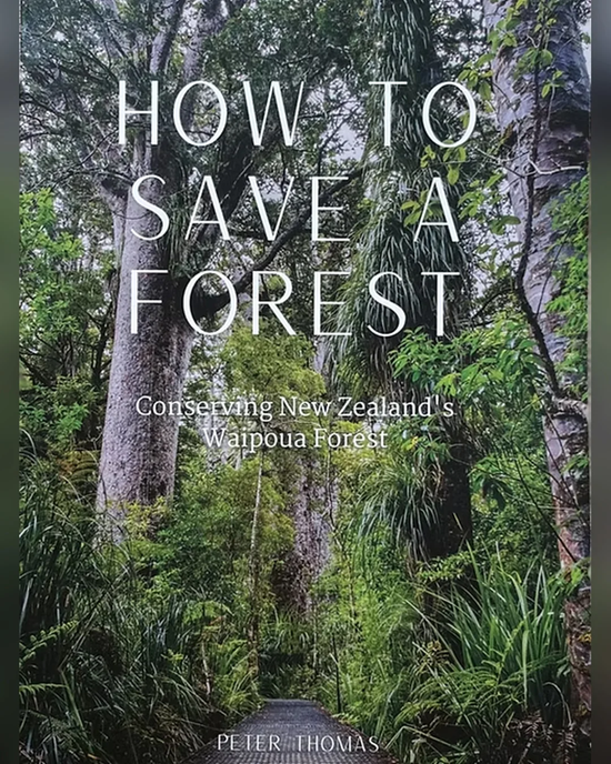 How to Save a Forest: Conserving New Zealand's Waipoua Forest