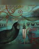 Huia: Kathryn Furniss