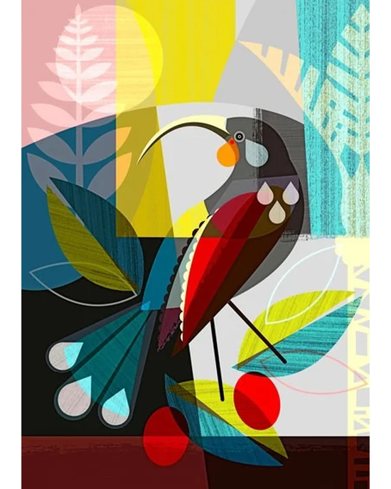 Huia Dreams