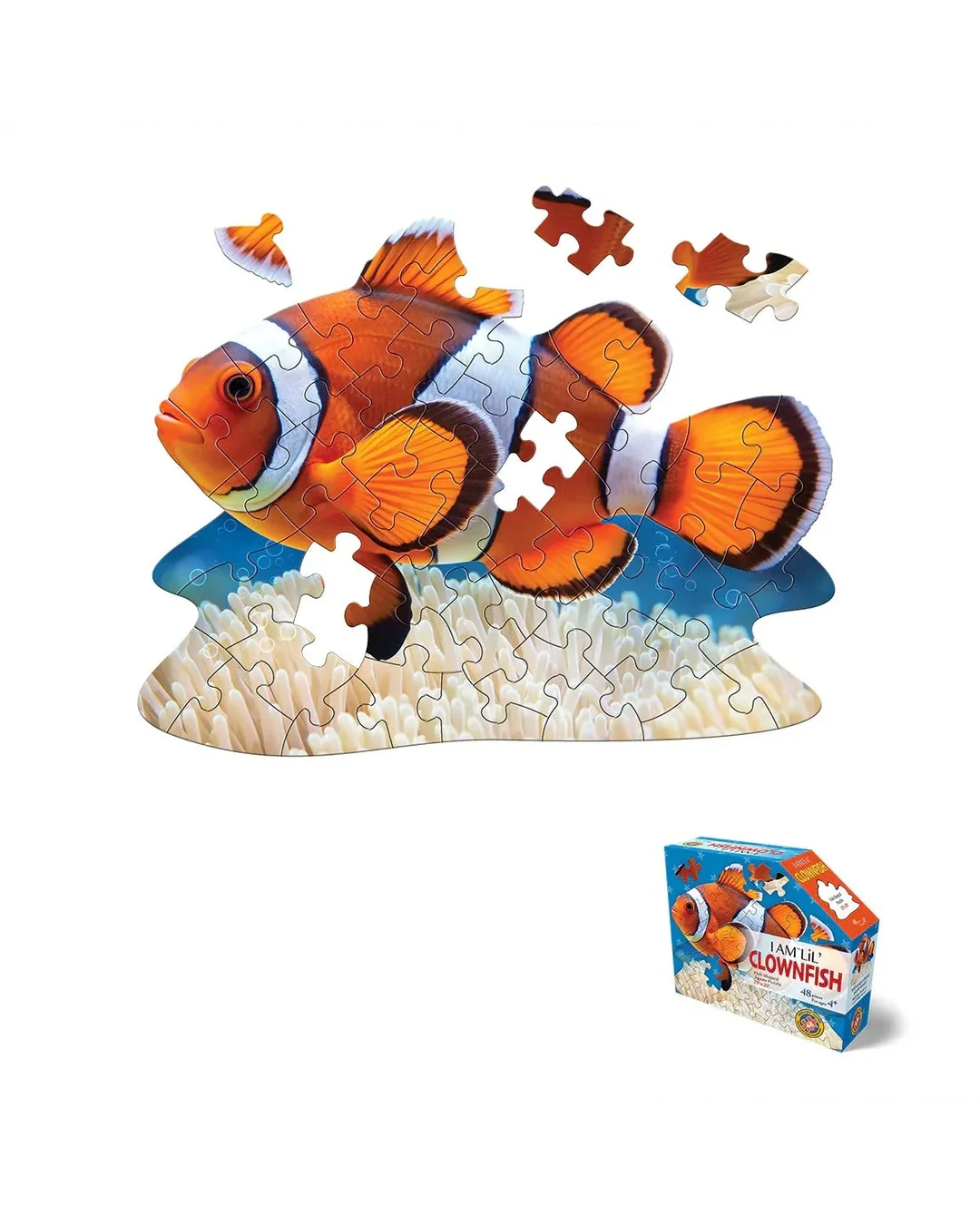 I Am Lil' Clown Fish - 48pc