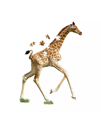 I Am Lil' Giraffe - 100pc