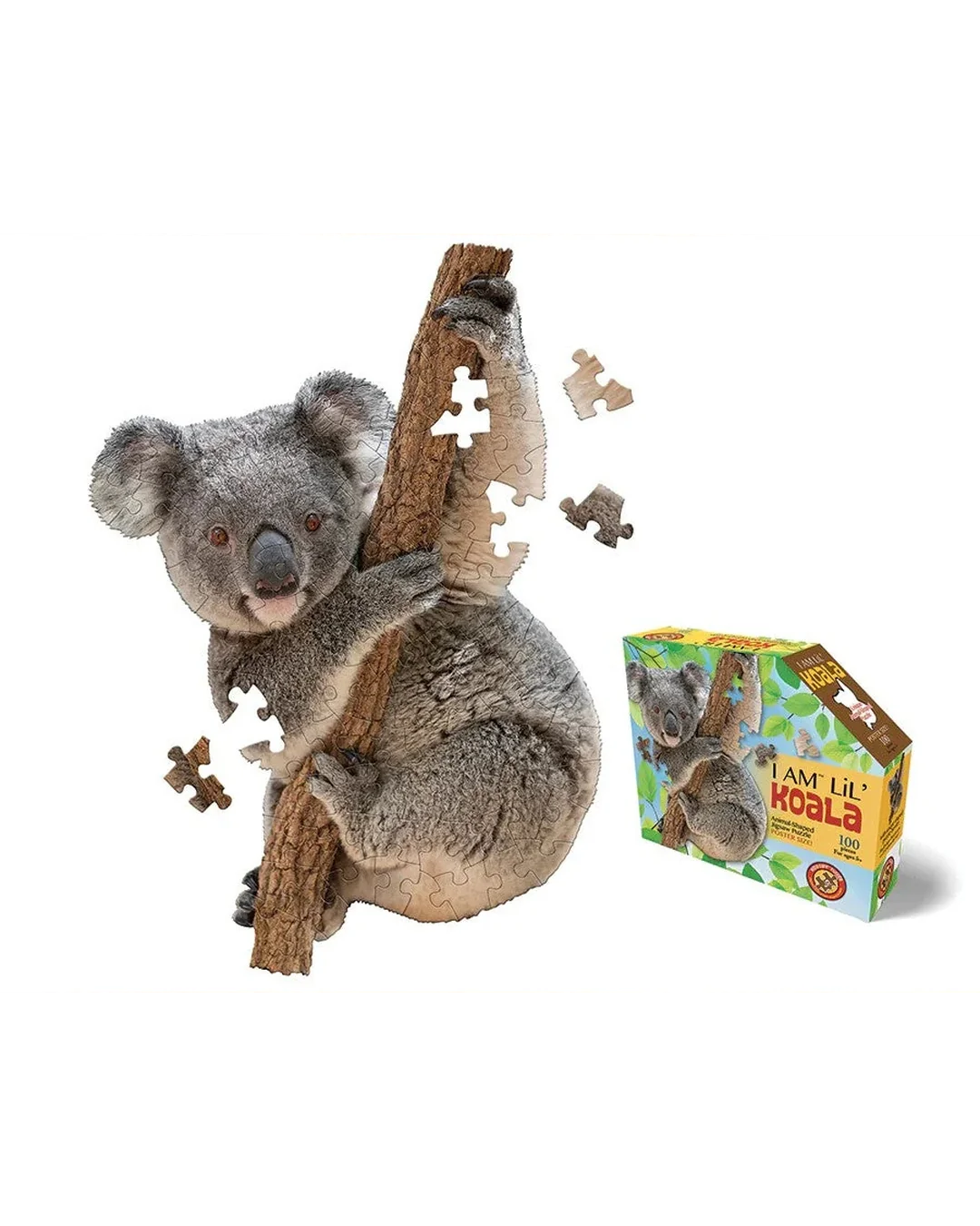 I Am Lil' Koala - 100pc