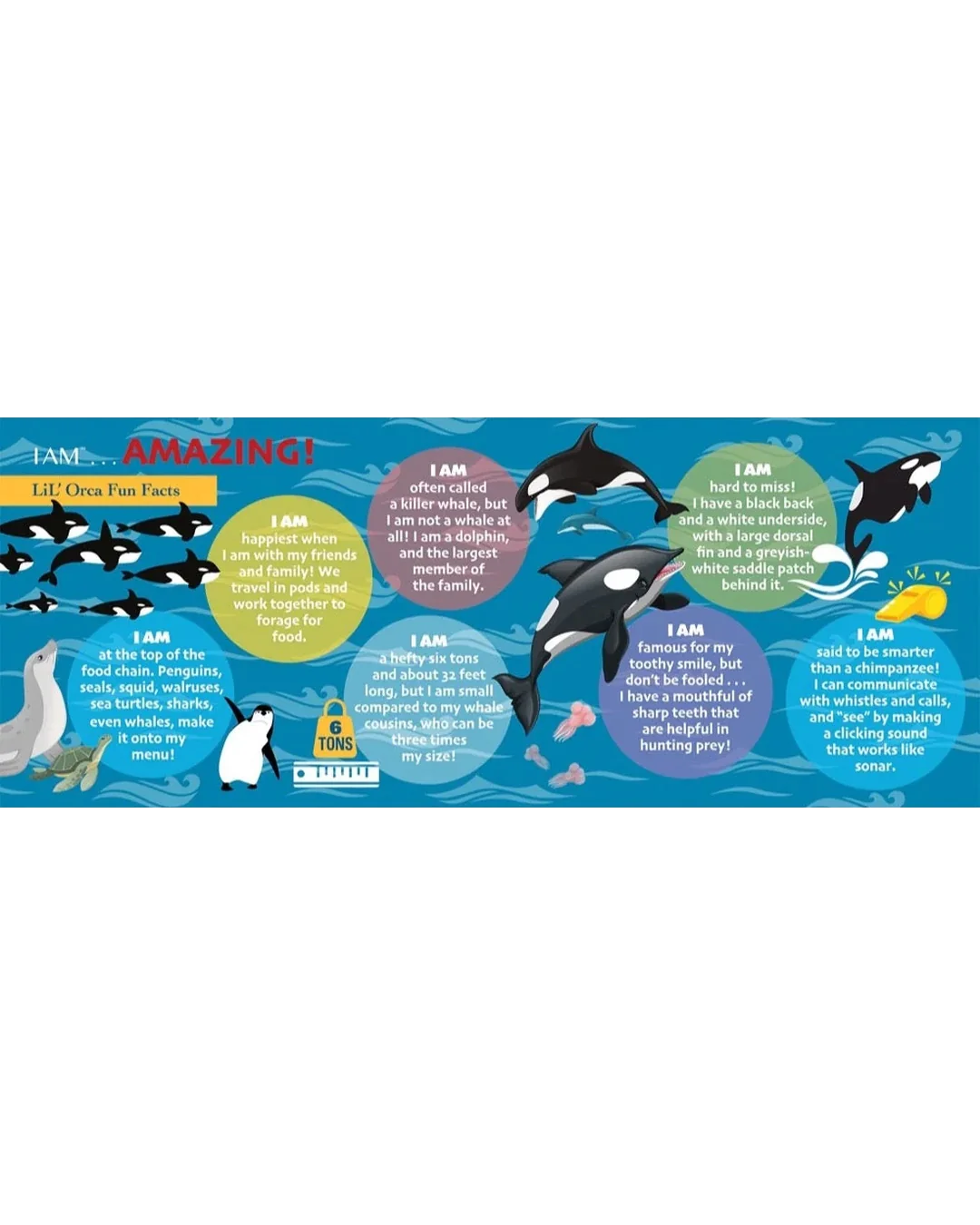 I Am Lil' Orca - 48pc