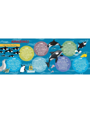I Am Lil' Orca - 48pc