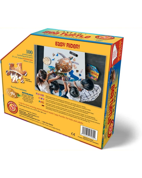 I Am Lil' Sea Turtle - 100pc