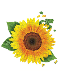 I Am Sunflower - 350pc