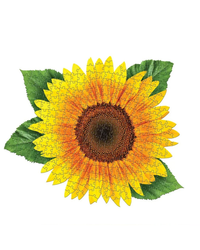 I Am Sunflower - 350pc
