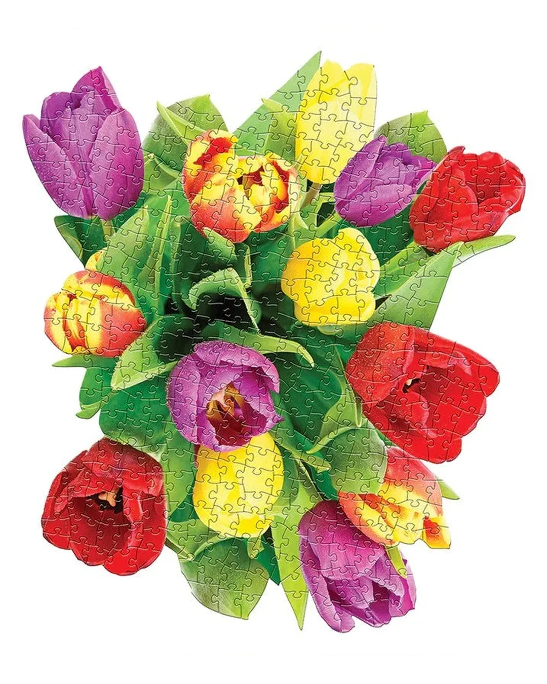 I Am Tulip - 350pc