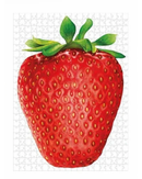 Hummingbird Australia I Like Strawberry 1000-Piece Jigsaw Puzzle-2