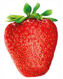 Hummingbird Australia I Like Strawberry 1000-Piece Jigsaw Puzzle-3