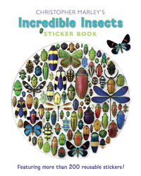 incredible-insects-sticker-book