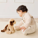 Snuggle Bunnies - Coco The Shih Tzu Soft Toy