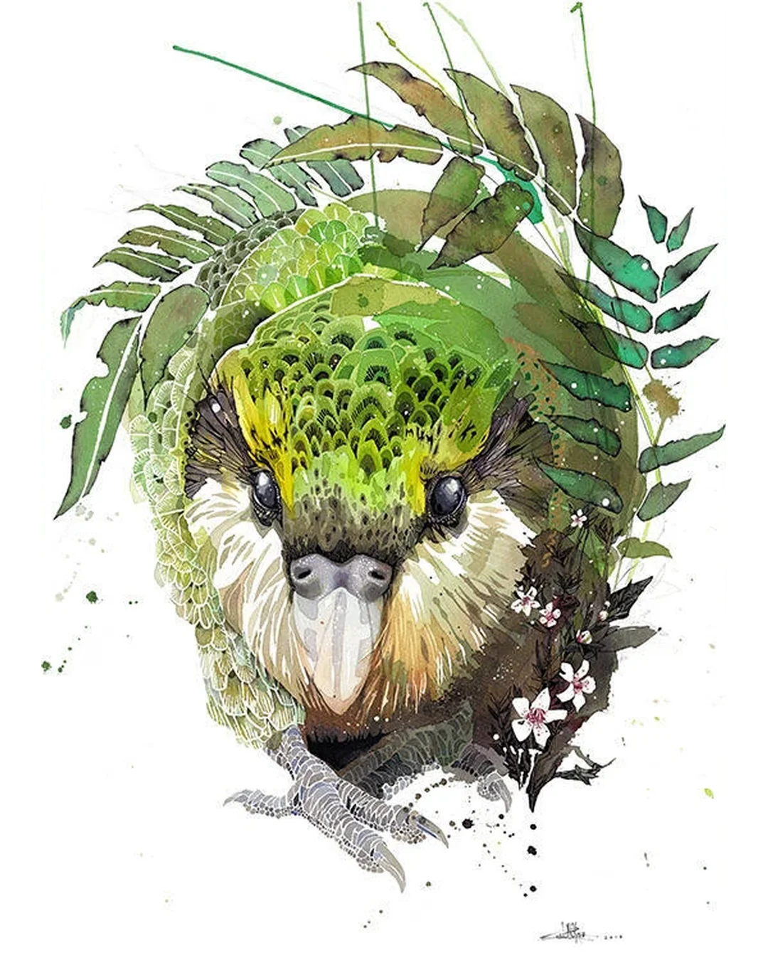 Kakapo Manuka