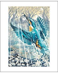 kingfisher-evening-rain