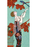lady-and-birdcage-slim