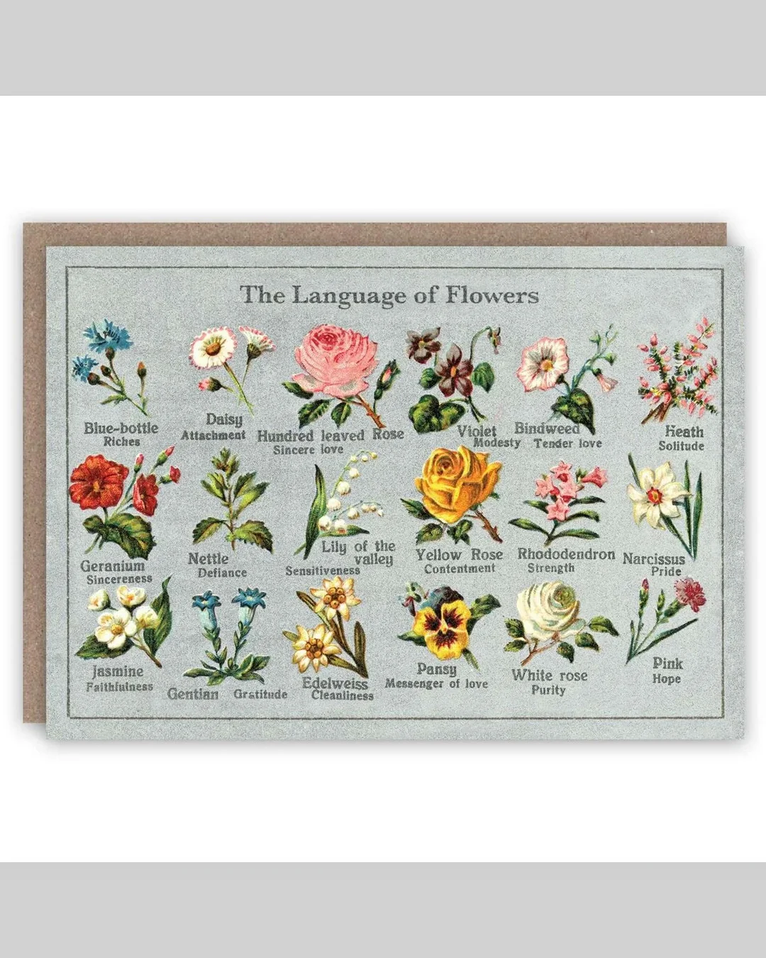 language-of-flowers