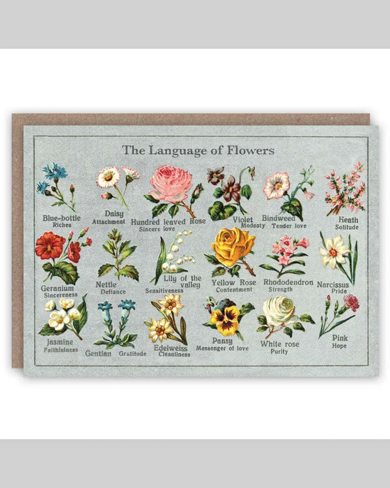 Language Of Flowers - Card