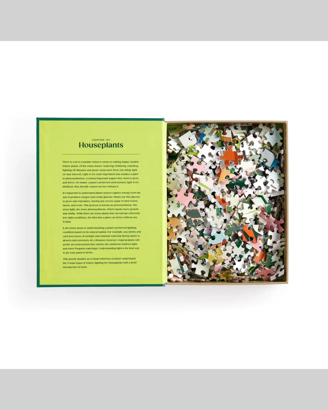 Galison Lighting 101: Houseplants 500-Piece Jigsaw Puzzle-3