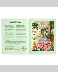 Galison Lighting 101: Houseplants 500-Piece Jigsaw Puzzle-5