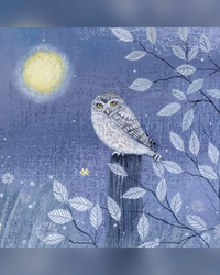 little-owl