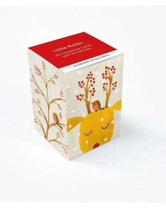 Little Robin Asstd 20 Pkt - Christmas Mini Cards Cube