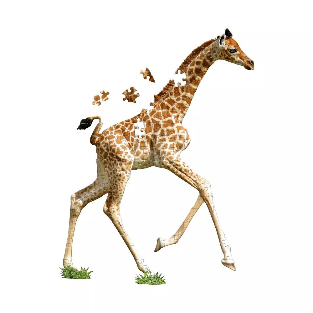 I Am Lil' Giraffe - 100pc