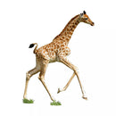 I Am Lil' Giraffe - 100pc