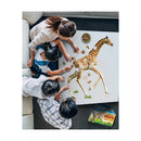 I Am Lil' Giraffe - 100pc