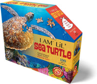 I Am Lil' Sea Turtle - 100pc