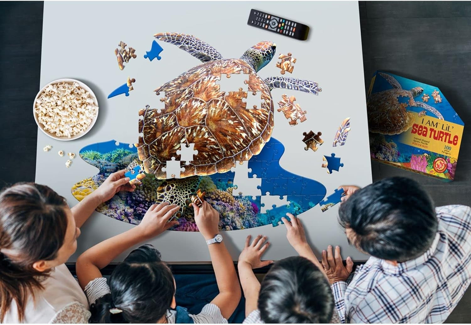 I Am Lil' Sea Turtle - 100pc
