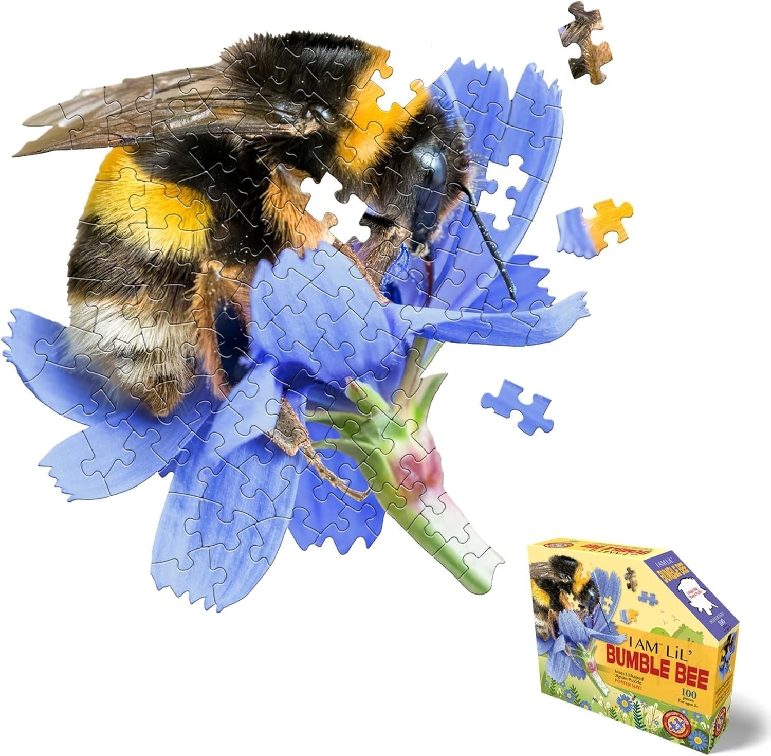 I Am Lil' Bumble Bee - 100pc