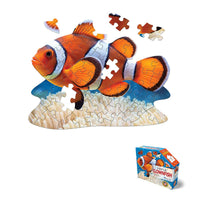 I Am Lil' Clown Fish - 48pc